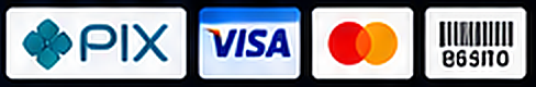 Pix, Visa, Mastercard e Boleto